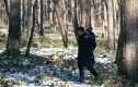 Waldspaziergang