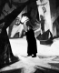 Caligari-Festivalansicht